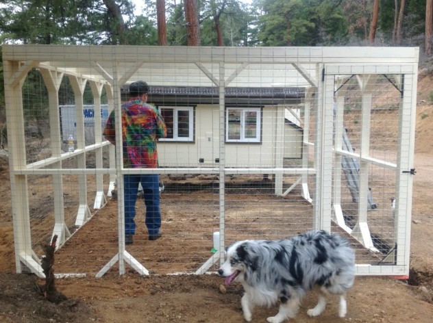 Home, sweet posh home for our Big Dawg hens - we even have a heat lamp inside for those cold Colorado nights. 